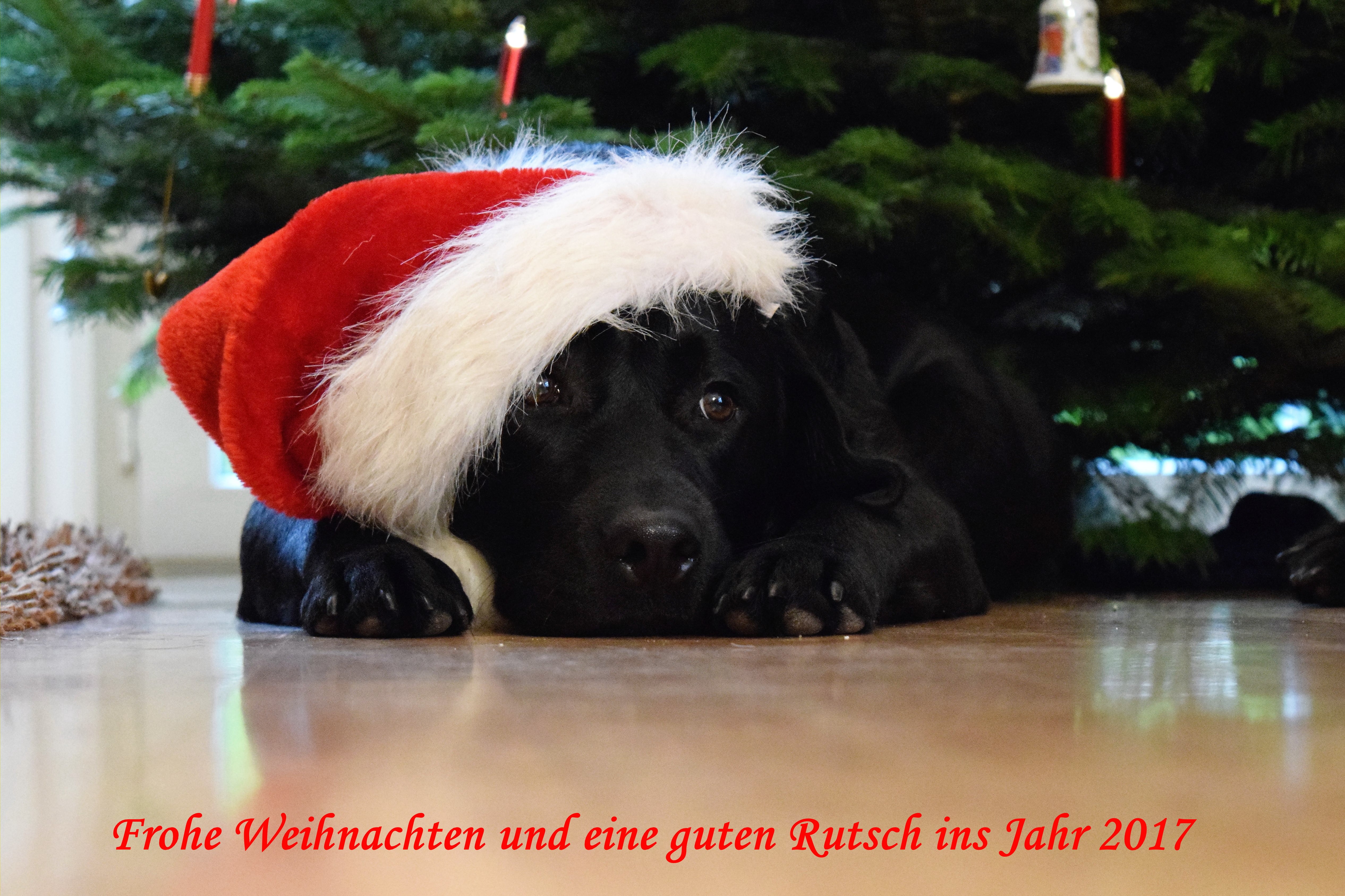 DSC_0242 - Kopie-min.jpg